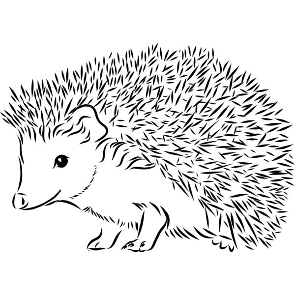 Hedgehog   Clipart 2 Thumbnail